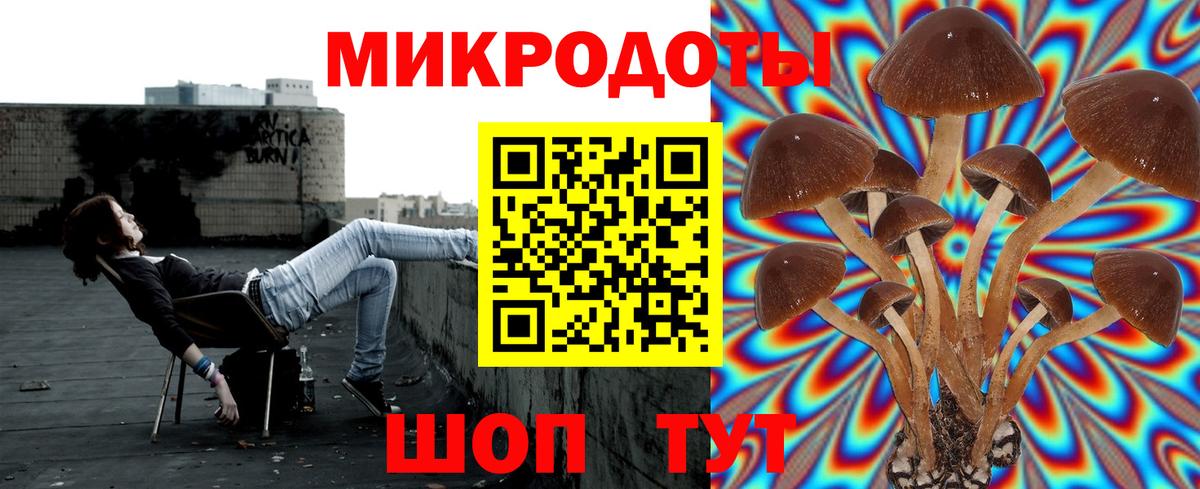 Псилоцибиновые грибы Psilocybe Алексин