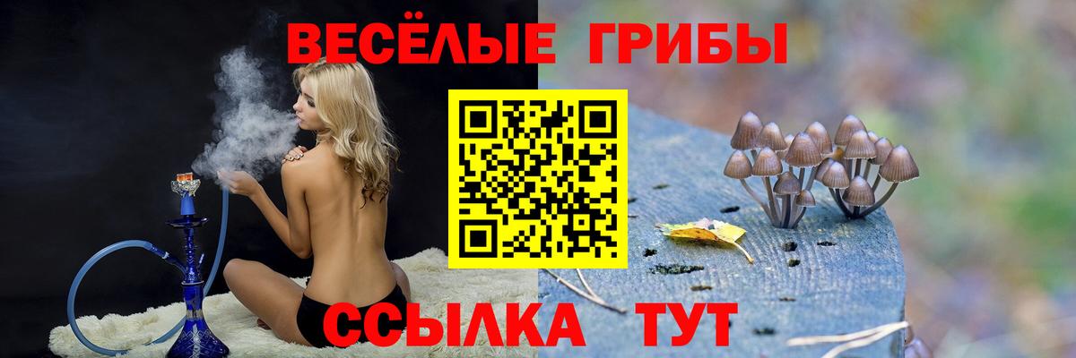 Алексин  Псилоцибиновые грибы Psilocybe  Вход с VPN  Галлюциногенные грибы MAGIC MUSHROOMS 